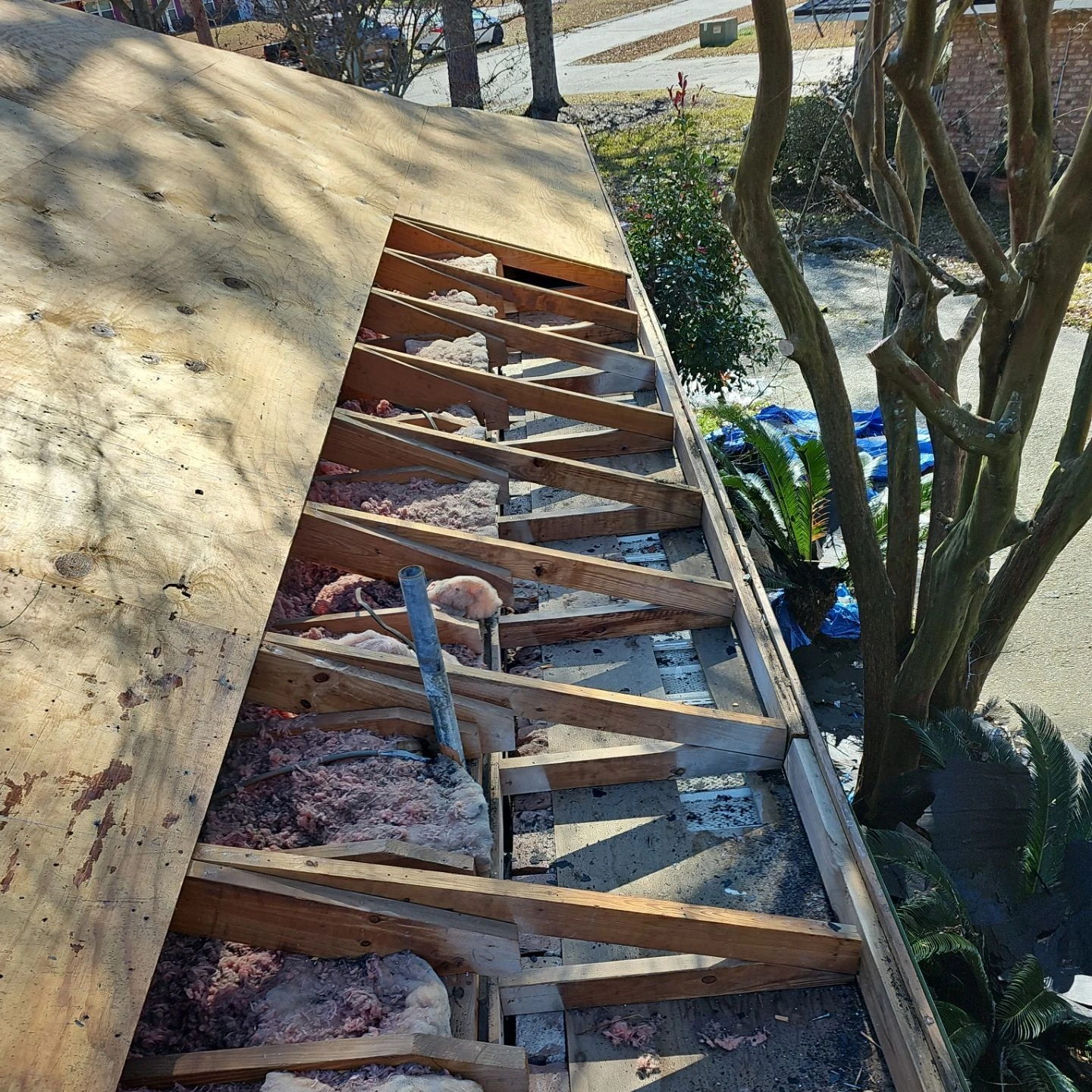 XL Fortified Roof Replacement with OC Williamsburg Gray